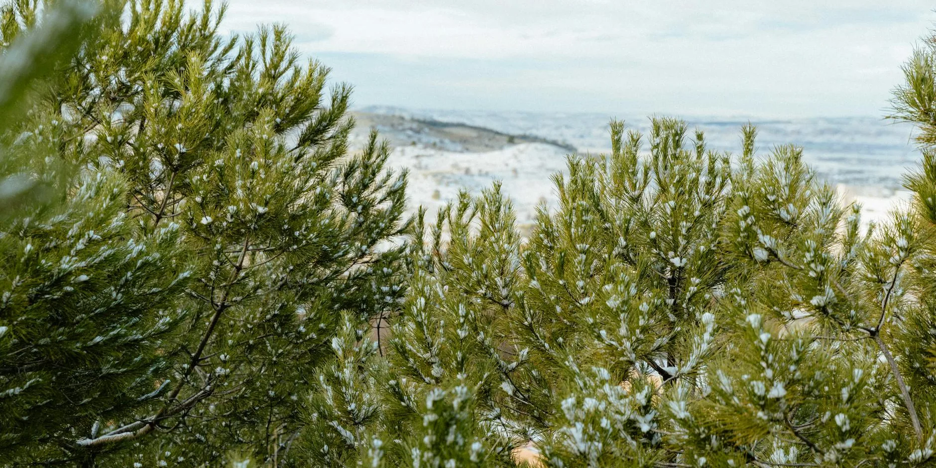 Clima Y Poliurea Por Que Se Puede Impermeabilizar Tambien En Invierno