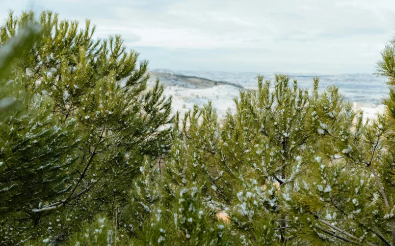 Clima Y Poliurea Por Que Se Puede Impermeabilizar Tambien En Invierno