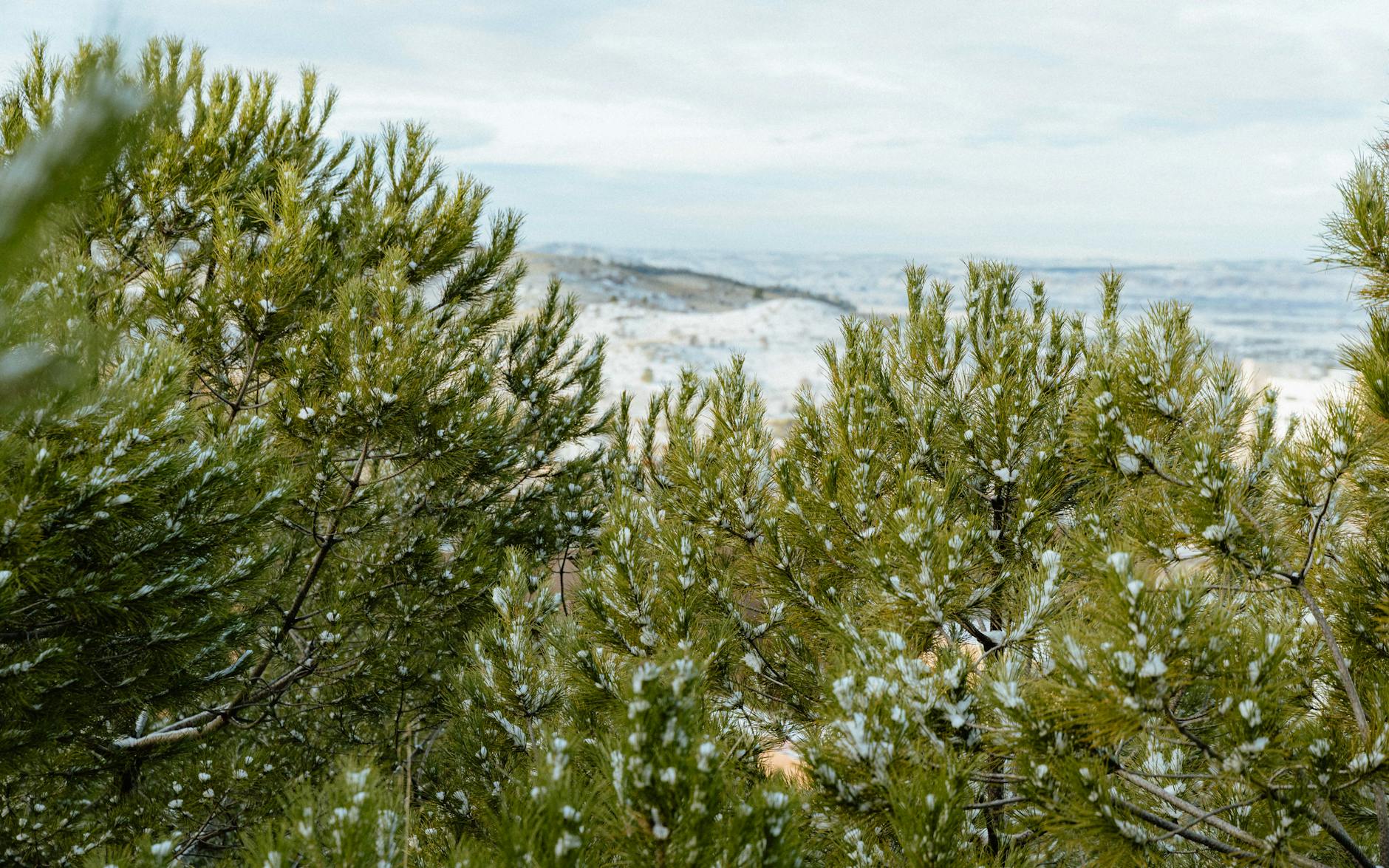 Clima Y Poliurea Por Que Se Puede Impermeabilizar Tambien En Invierno